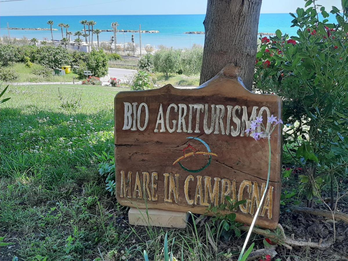 Bio Agriturismo Mare In Campagna Campofilone Exterior photo