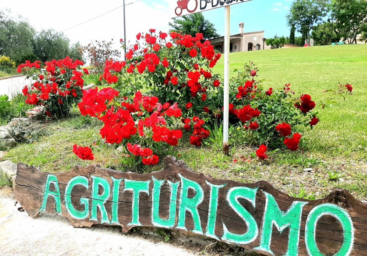 Bio Agriturismo Mare In Campagna Campofilone Exterior photo
