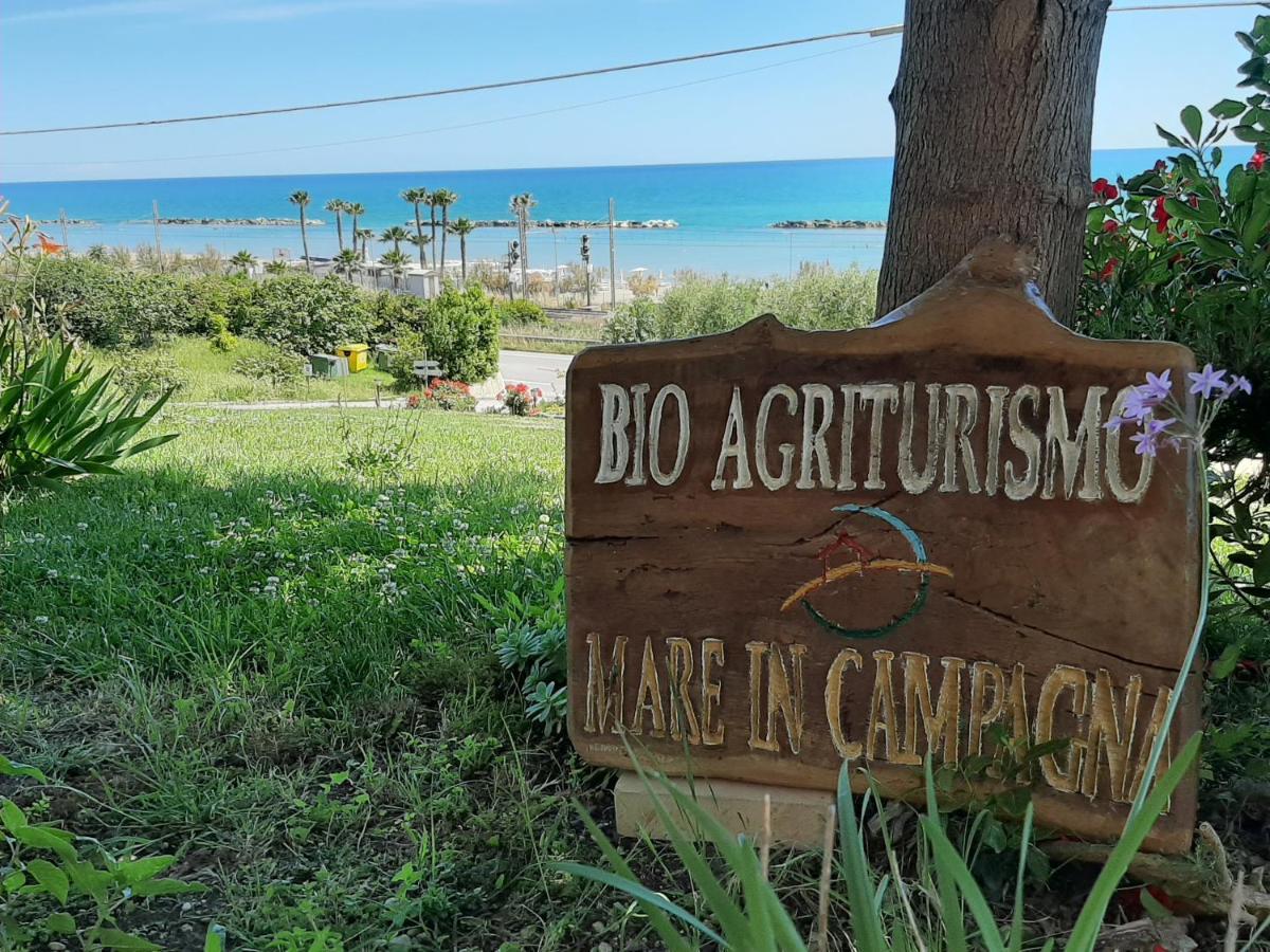Bio Agriturismo Mare In Campagna Campofilone Exterior photo